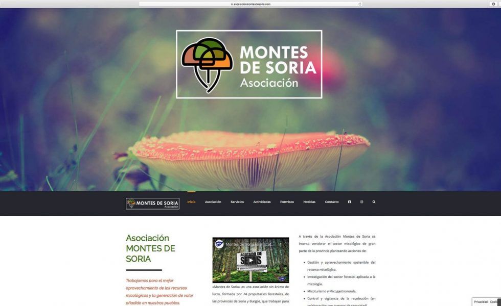 Nueva web de MONTES DE SORIA
