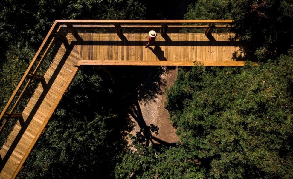 MILESI participa en un original paseo por las copas de los árboles