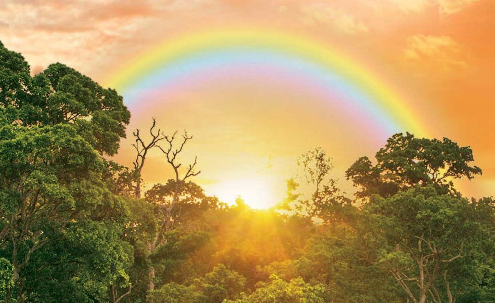 INTERHOLCO publica su Informe de Sostenibilidad