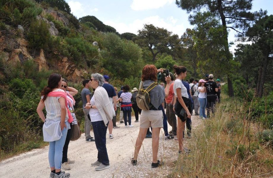 Masificación de personas en nuestros espacios naturales en tiempos de COVID