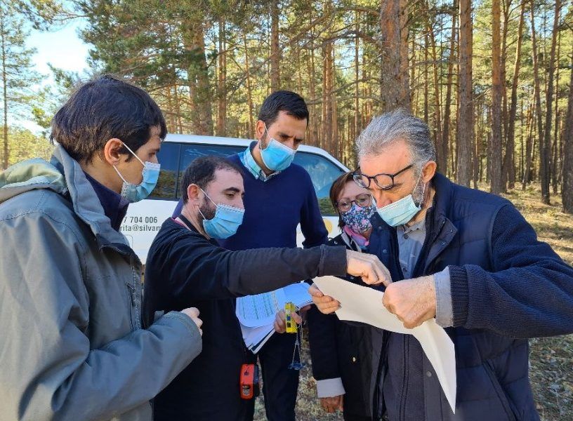 La Mancomunidad ALTO TAJO abandera el programa “Gestión forestal sostenible de recursos madereros”