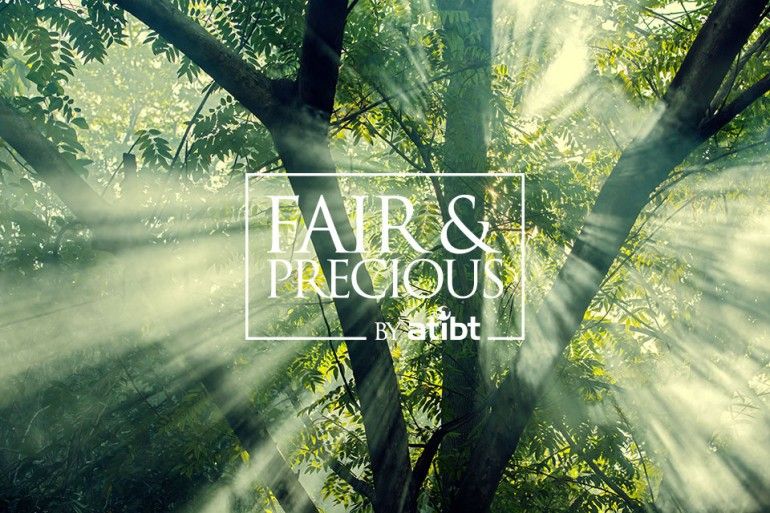 Gestión forestal sostenible, una solución a la deforestación