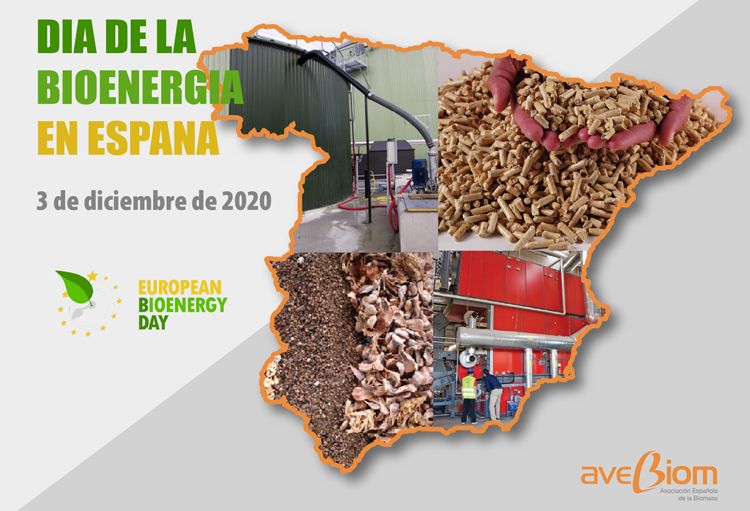 Casi un mes de autosuficiencia energética gracias a la biomasa