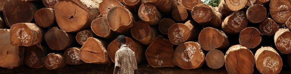 “Mantener la línea y avanzar: raíces para una recuperación verde”