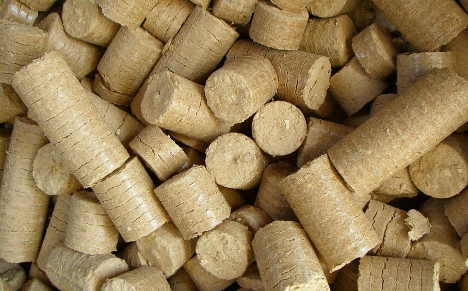 AVEBIOM valora la rebaja del IVA a pellet, briquetas y leña