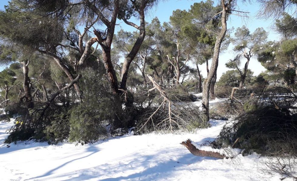 La UE registra pérdidas de más de 12.000 M€/año derivadas de fenómenos meteorológicos extremos