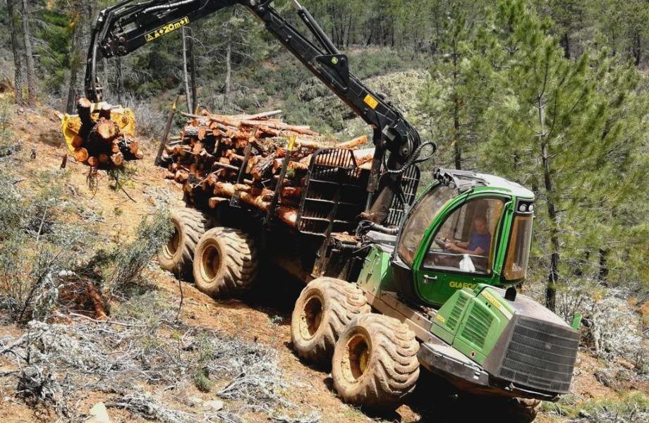 LEÑAS EL CARDOSO emplea a 10 trabajadores de la Sierra Norte de Guadalajara