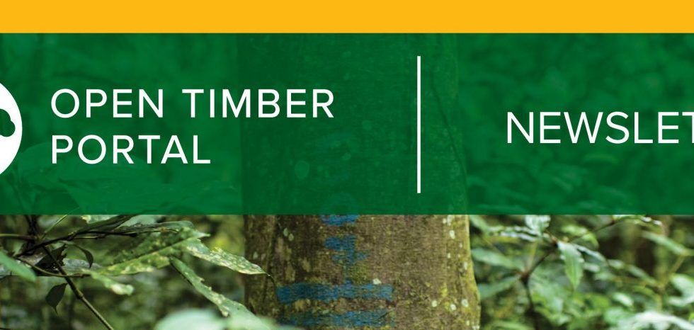 OPEN TIMBER PORTAL (OTP): Más visitantes y nuevas funciones disponibles