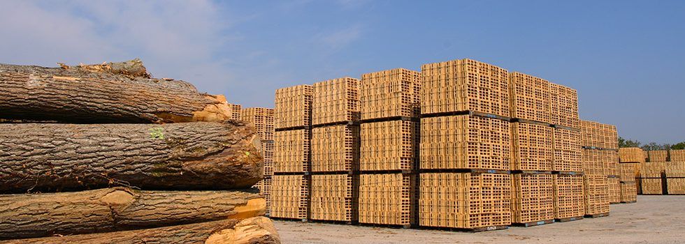 La pandemia sigue afectando a los precios de las paletas y los embalajes