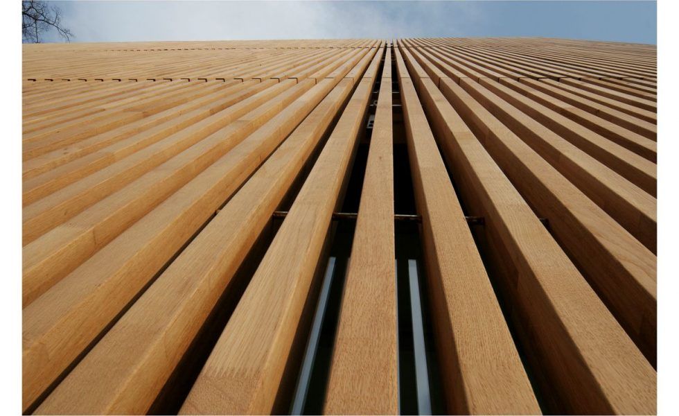 Aurelio Gámiz: “La demanda sobrepasa a la capacidad de oferta de la industria maderera”