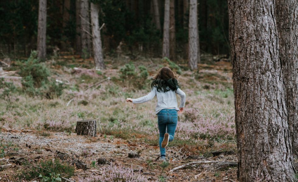 El proyecto TIMBERTRACK da un importante paso con la colaboración de MONRA FORESTAL