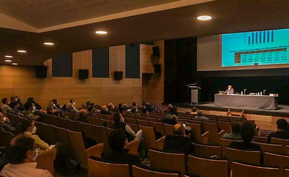 La Confederación de Forestalistas del País Vasco analiza el efecto ambiental de la plantación de eucaliptos