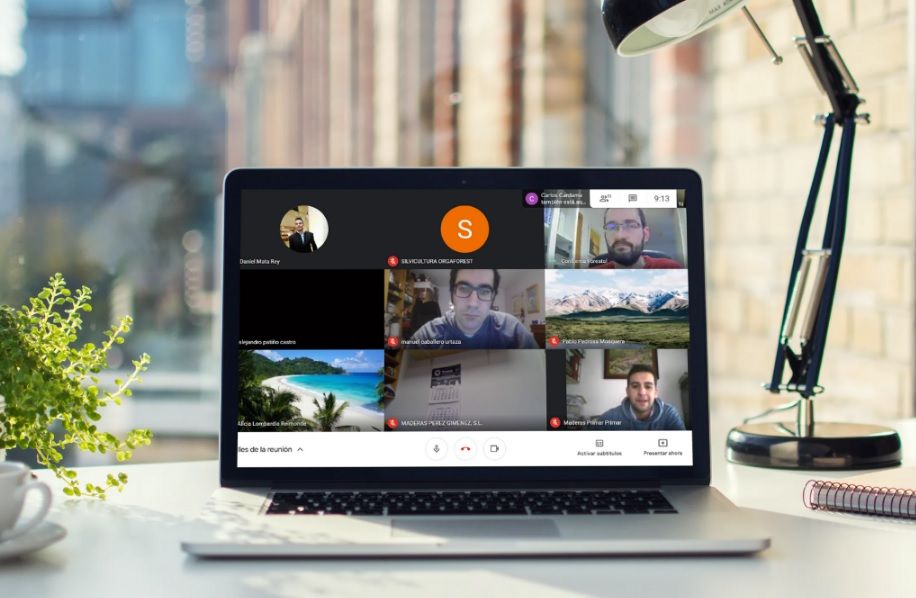 Los profesionales forestales gallegos se forman en técnicas para hacer inventarios de vegetación