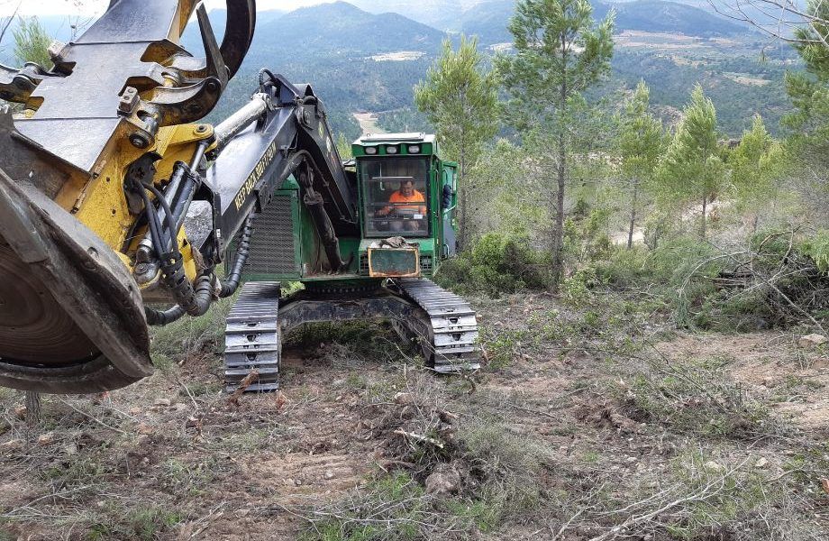 Más de 105.000 toneladas de biomasa producidas en un año de retos medioambientales