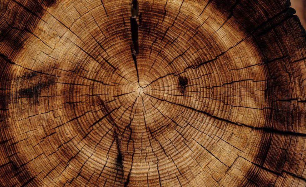 La gestión eficiente de recursos en la industria de la madera