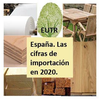 España importó en 2020 productos sometidos al EUTR por valor de más de 5.400 millones de euros