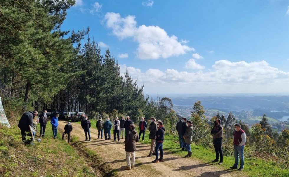 El Proyecto de Innovación para la productividad del cultivo de Eucalyptus globulus llega a su fin