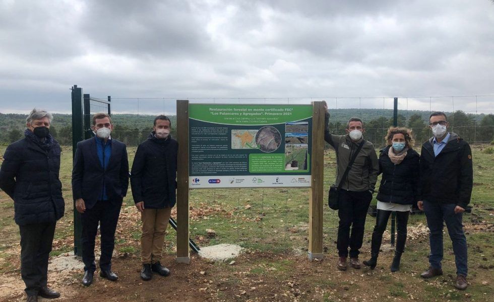 Recuperación ejemplar de un monte incendiado en Cuenca