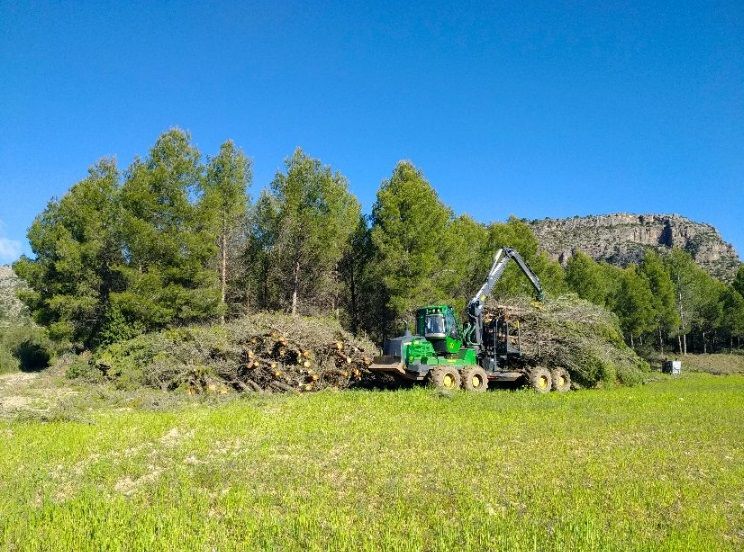 La gestión forestal hecha en Murcia comienza a tener un papel relevante frente al cambio climático
