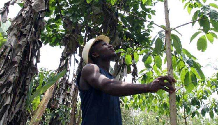 ATIBT publica su informe anual de 2020