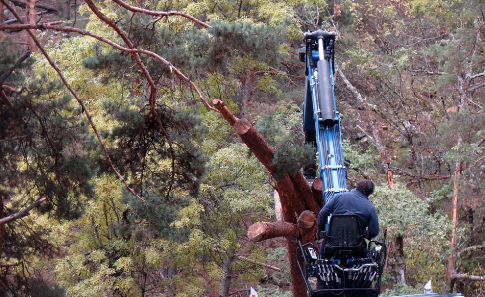 AVEBIOM demanda a la Administración General del Estado la sustitución de combustibles fósiles en sus edificios por biomasa