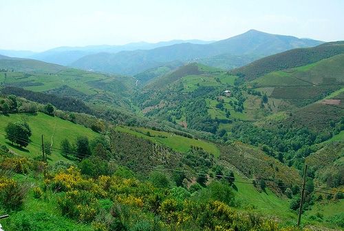 La AFG subraya que los montes vecinales son una figura de propiedad “imprescriptible”