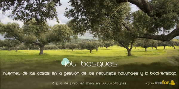 IoT BOSQUES: Internet de las Cosas en la gestion de los recursos naturales y la biodiversidad
