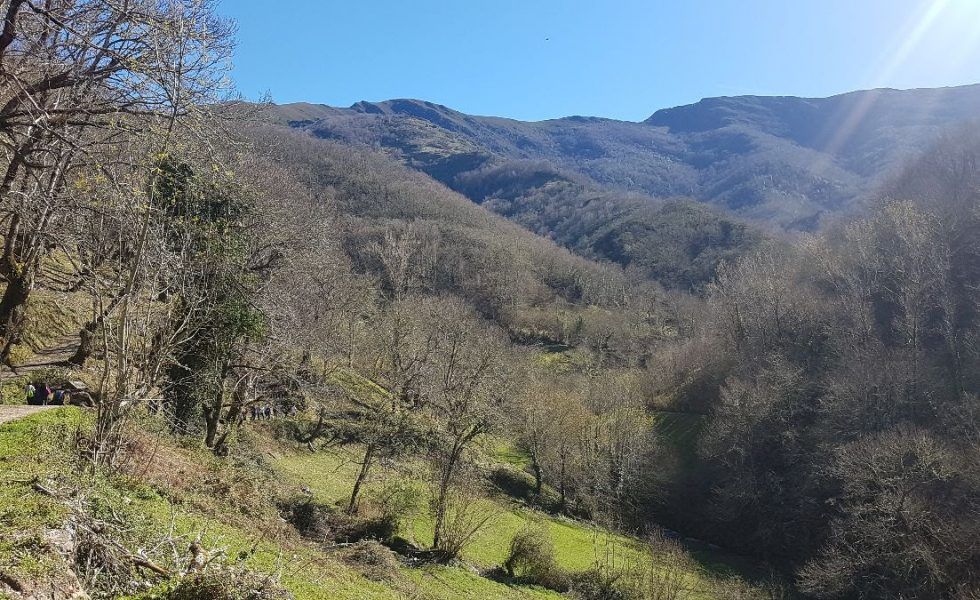 AGROAMB,  primera empresa española en patrocinar servicios ecosistémicos de un bosque FSC