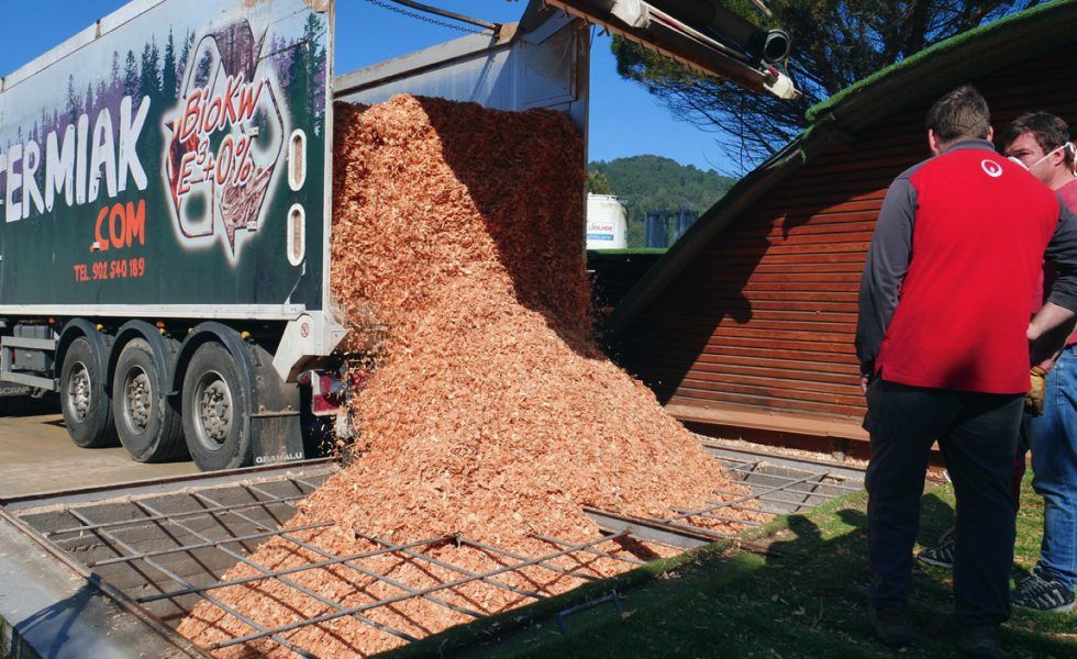 Cerca de 50.000 estufas y calderas de biomasa vendidas en el sector residencial el año Covid