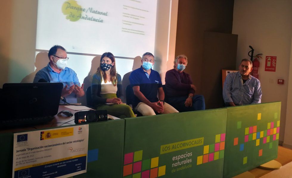 Soluciones sectoriales, fiscales y tecnológicas para la actividad micológica