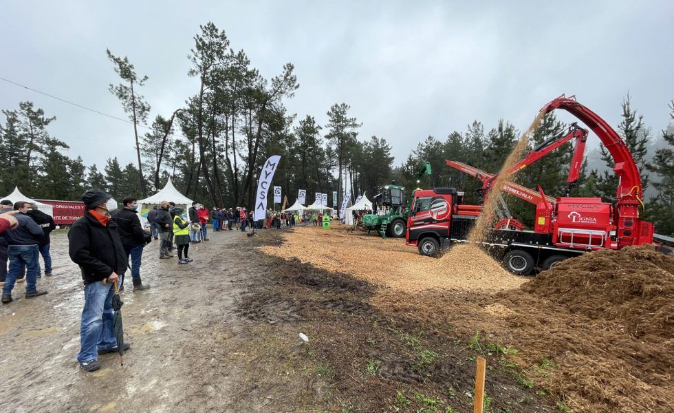 Todo preparado para celebrar ASTURFORESTA