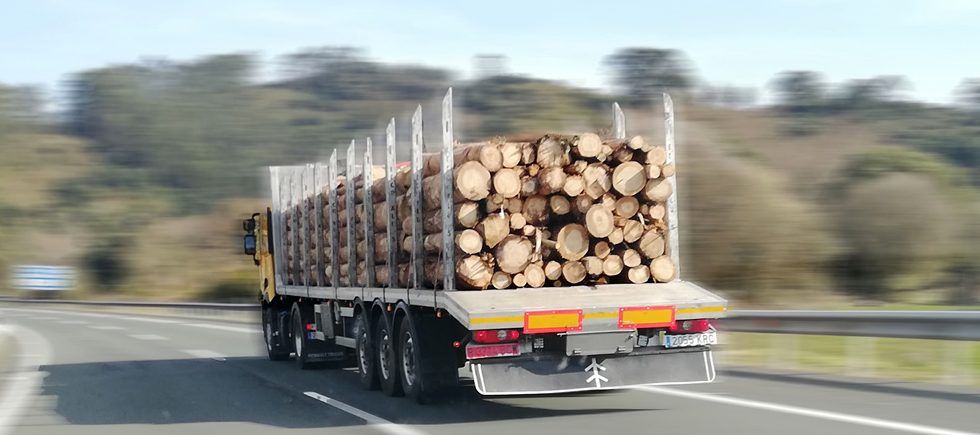 Será posible transportar mayor carga de madera en rollo, pero sólo en un radio máximo de 150 kilómetros