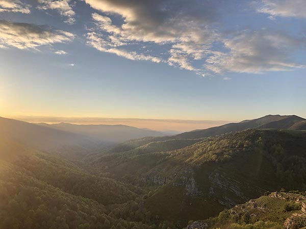 VII Jornadas del Orgullo Rural
