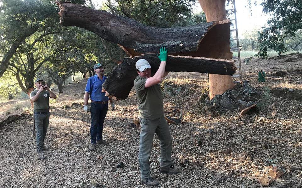 ACOAN trabaja por mantener vivos los oficios relacionados con el corcho