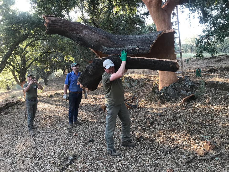 ACOAN trabaja por mantener vivos los oficios relacionados con el corcho