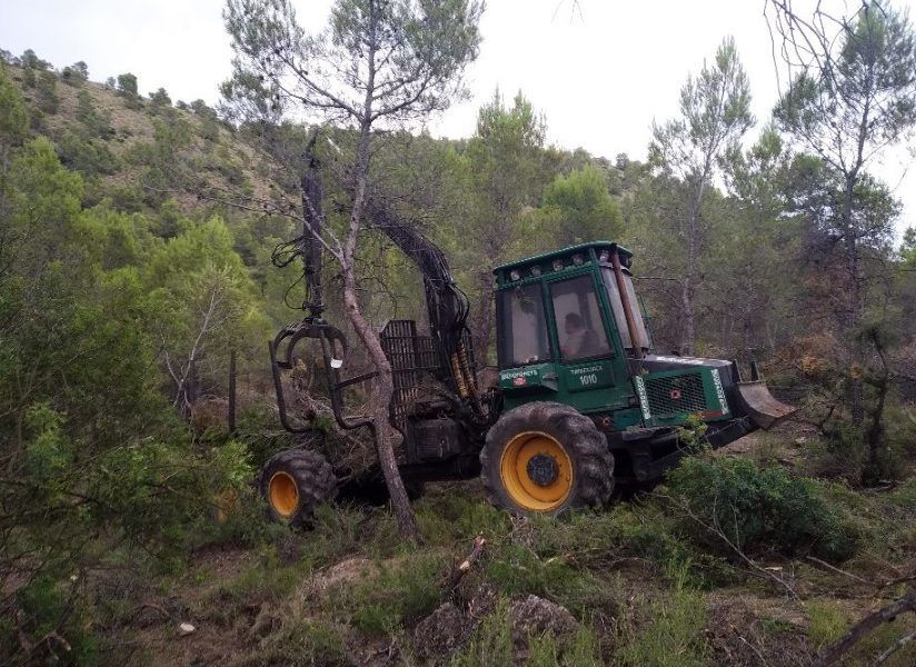 Life Forest CO2 finaliza su camino con grandes logros para el sector forestal
