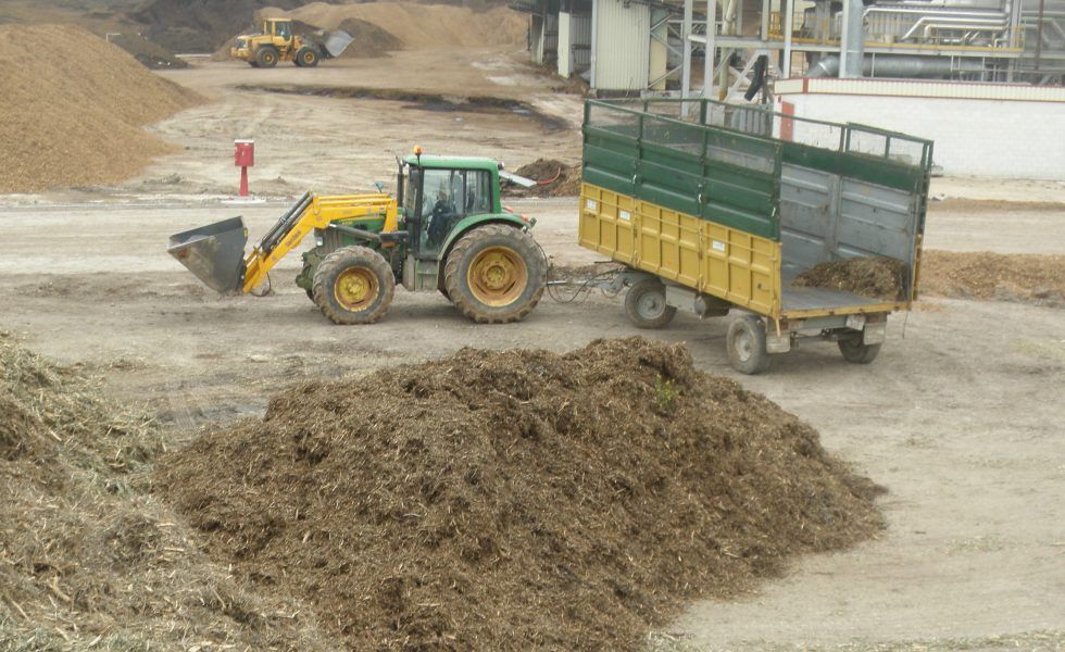 Lista en España la certificación definitiva de sostenibilidad de la biomasa para energía