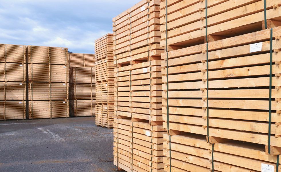 Jornada práctica sobre las herramientas de LIFE Legal Wood para cumplir con el EUTR