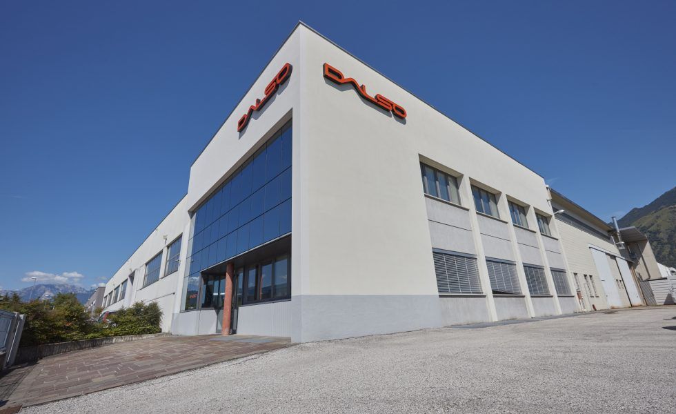 DALSO: Los primeros 20 años