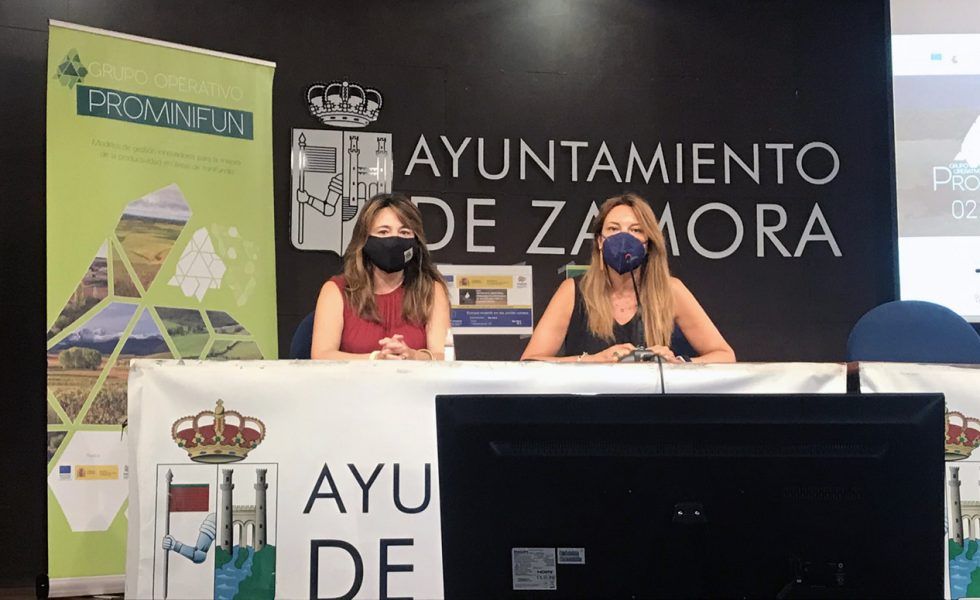 PROMINIFUN intercambia en Zamora experiencias innovadoras para la mejora de la producción forestal