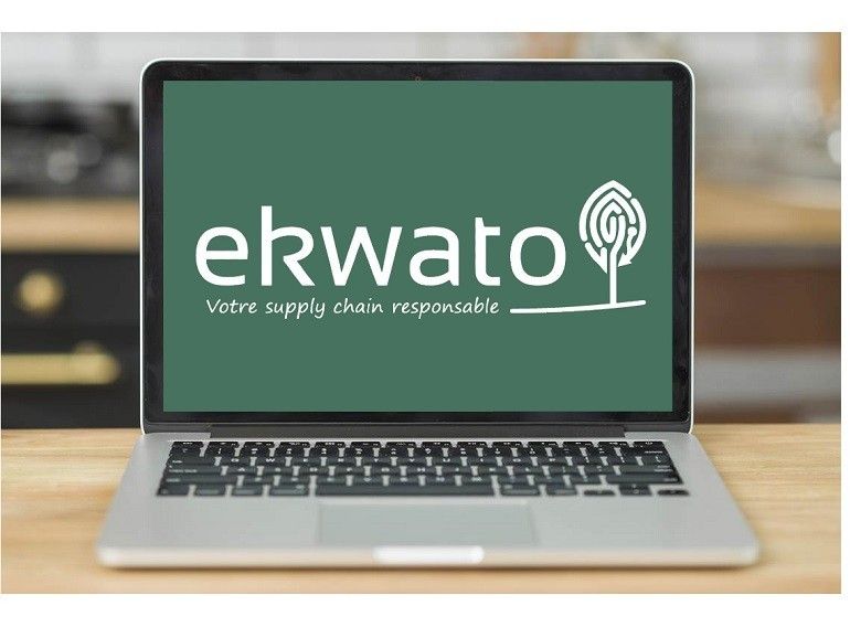 EKWATO: Análisis de riesgos en la industria maderera en tiempo real