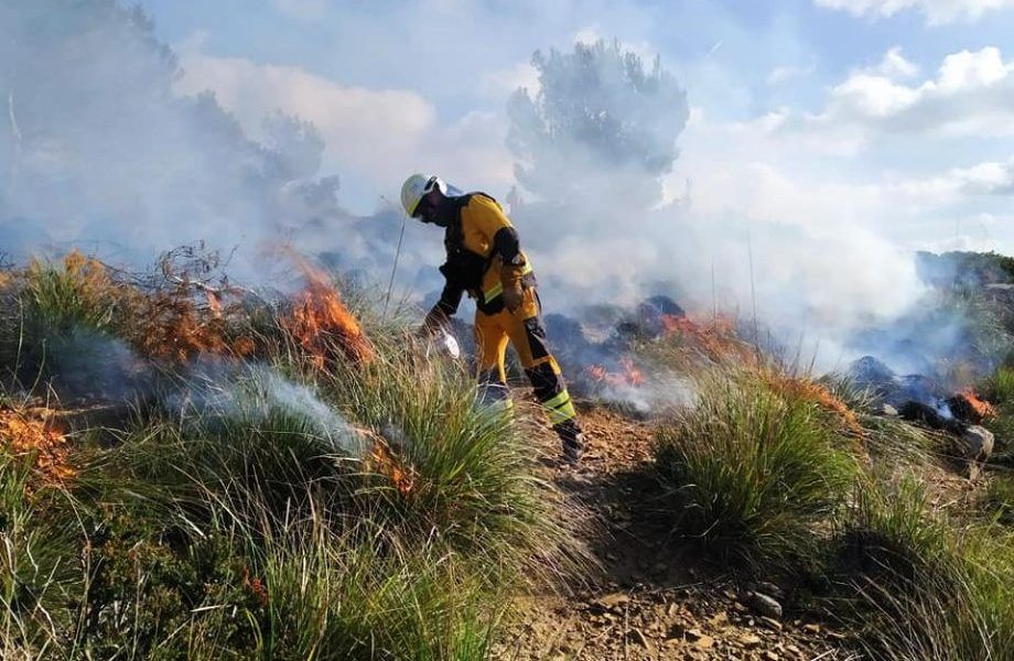 Denuncian la paralización de los trabajos preventivos de incendios forestales en Aragón