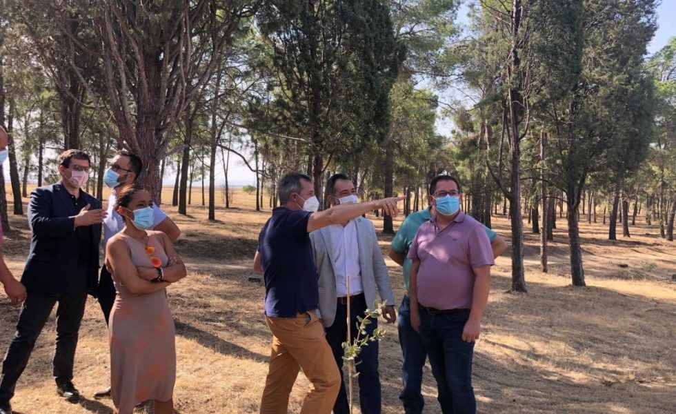 Castilla-La Mancha concluye la limpieza de montes públicos del entorno de la A-42