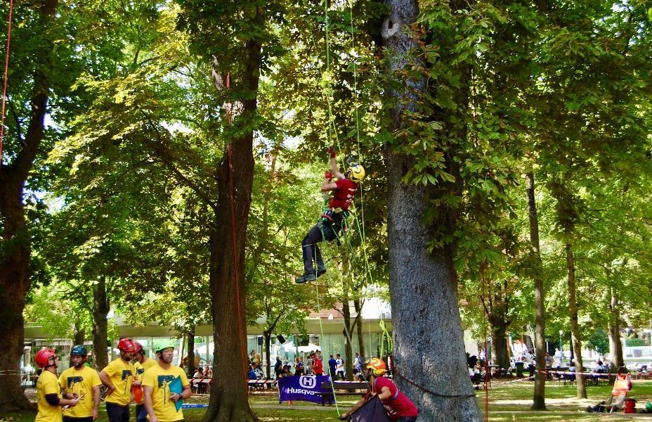 HUSQVARNA patrocinó el campeonato internacional de trepa en Vitoria-Gasteiz