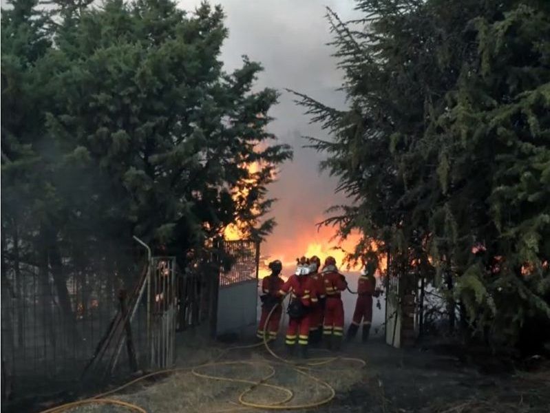 Gestión forestal sostenible y prevención contra incendios