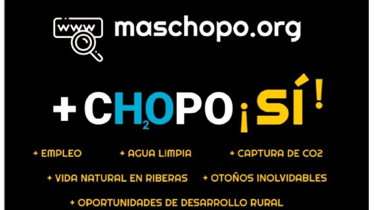 La CONFEDERACION DEL DUERO eliminará plantaciones de chopos de la cuenca con un perjuicio para el medio rural estimado en 23 millones de euros anuales