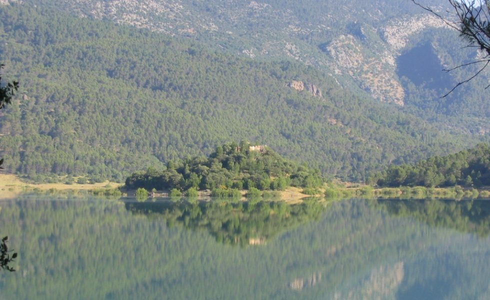 FSC España celebra su FSC Friday el 24 de septiembre