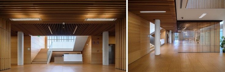 GUBIA-SLATS, nuevo sistema de techo de lamas de bambú que mejora la acústica de forma sostenible