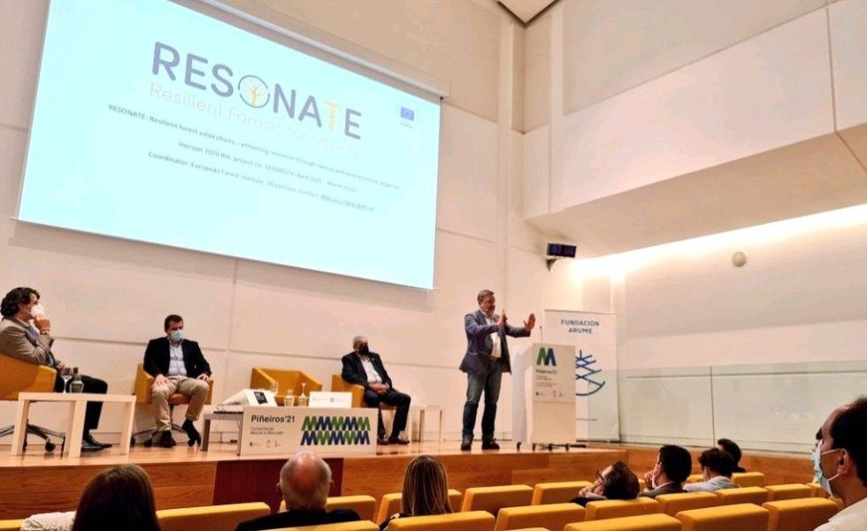 Los expertos destacan las posibilidades de futuro que tiene la marca PINO DE GALICIA