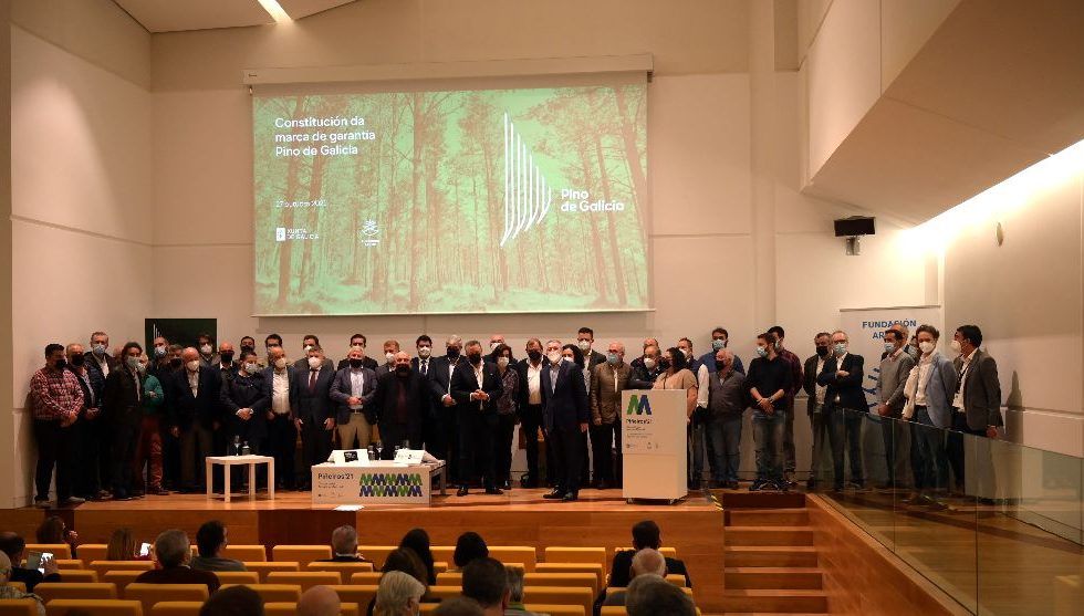 Queda constituida formalmente la marca PINO DE GALICIA